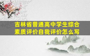 吉林省普通高中学生综合素质评价自我评价怎么写