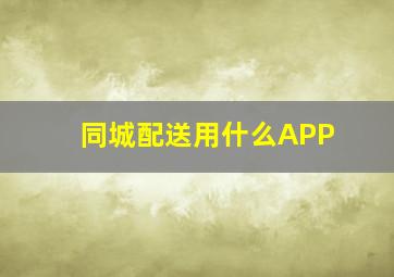 同城配送用什么APP