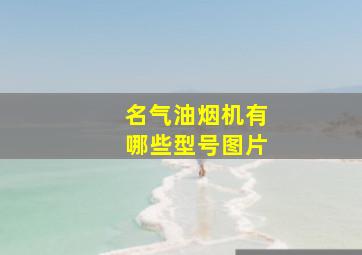 名气油烟机有哪些型号图片