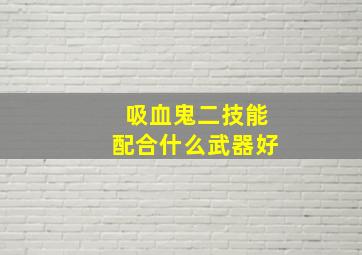 吸血鬼二技能配合什么武器好