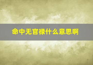 命中无官禄什么意思啊