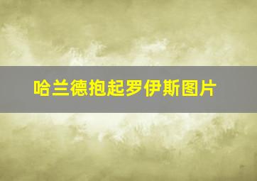 哈兰德抱起罗伊斯图片