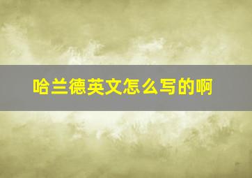 哈兰德英文怎么写的啊