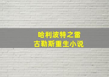 哈利波特之雷古勒斯重生小说