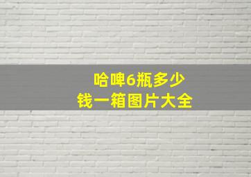 哈啤6瓶多少钱一箱图片大全