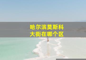 哈尔滨莫斯科大街在哪个区