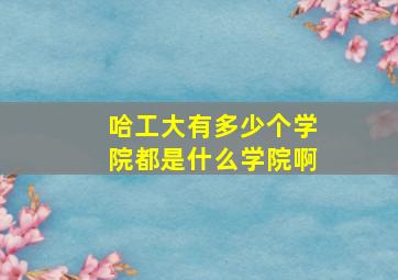 哈工大有多少个学院都是什么学院啊