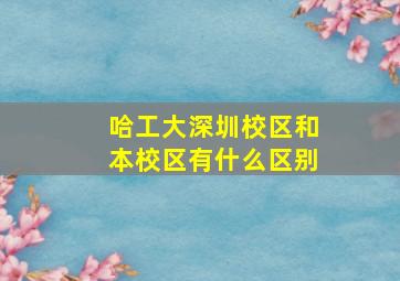 哈工大深圳校区和本校区有什么区别