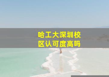 哈工大深圳校区认可度高吗