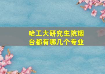 哈工大研究生院烟台都有哪几个专业