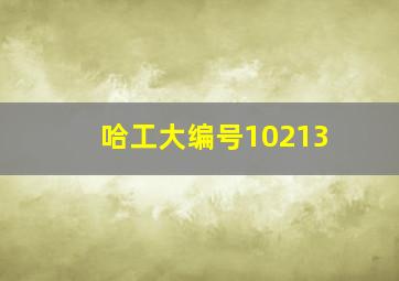 哈工大编号10213