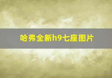 哈弗全新h9七座图片