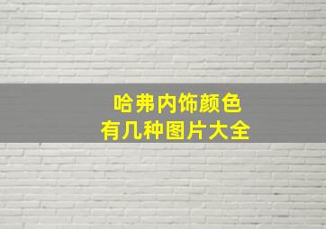 哈弗内饰颜色有几种图片大全