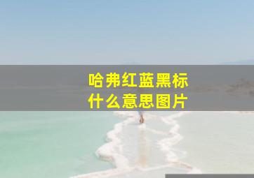 哈弗红蓝黑标什么意思图片