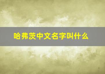 哈弗茨中文名字叫什么