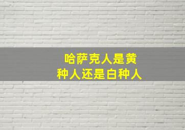 哈萨克人是黄种人还是白种人