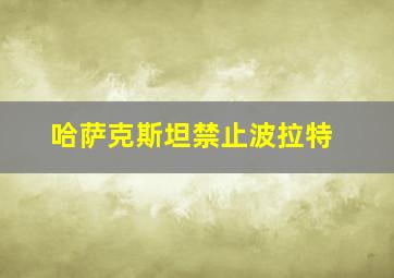 哈萨克斯坦禁止波拉特