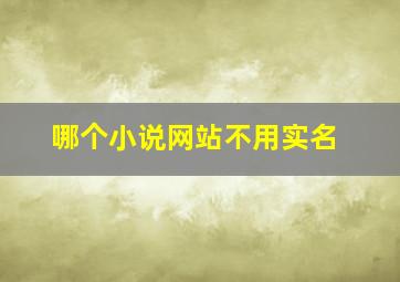 哪个小说网站不用实名