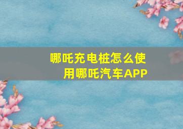 哪吒充电桩怎么使用哪吒汽车APP