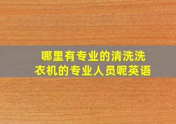 哪里有专业的清洗洗衣机的专业人员呢英语