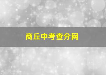 商丘中考查分网