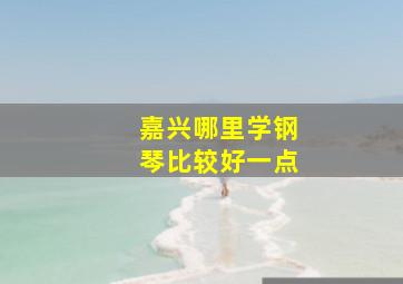 嘉兴哪里学钢琴比较好一点