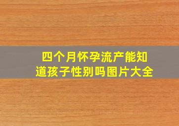 四个月怀孕流产能知道孩子性别吗图片大全