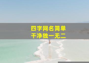 四字网名简单干净独一无二