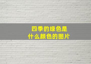 四季的绿色是什么颜色的图片