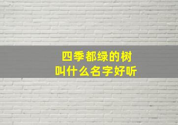 四季都绿的树叫什么名字好听