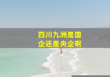 四川九洲是国企还是央企啊