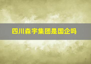 四川森宇集团是国企吗