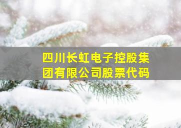 四川长虹电子控股集团有限公司股票代码