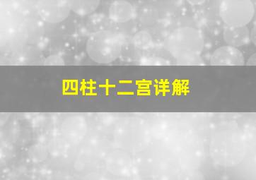 四柱十二宫详解