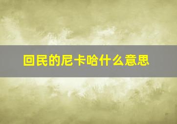 回民的尼卡哈什么意思