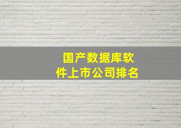 国产数据库软件上市公司排名