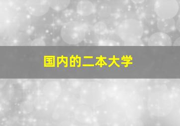 国内的二本大学