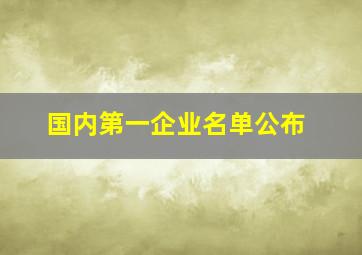 国内第一企业名单公布