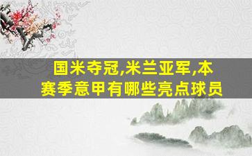 国米夺冠,米兰亚军,本赛季意甲有哪些亮点球员