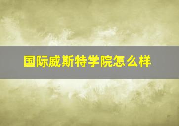 国际威斯特学院怎么样