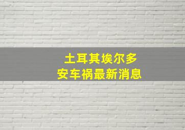 土耳其埃尔多安车祸最新消息