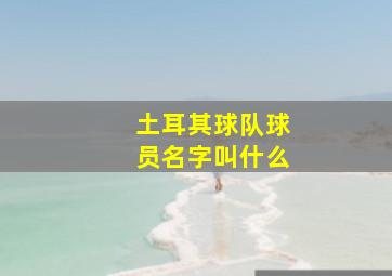 土耳其球队球员名字叫什么