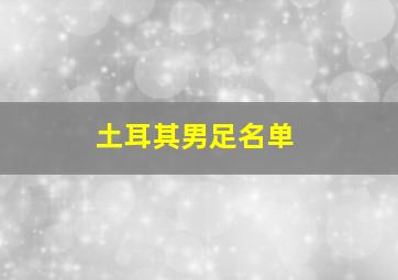 土耳其男足名单