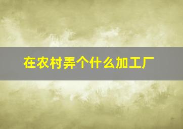 在农村弄个什么加工厂