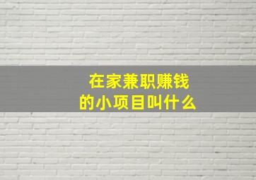 在家兼职赚钱的小项目叫什么