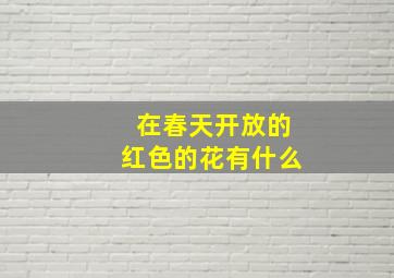 在春天开放的红色的花有什么