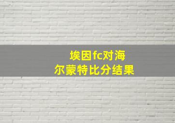 埃因fc对海尔蒙特比分结果