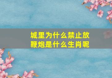 城里为什么禁止放鞭炮是什么生肖呢