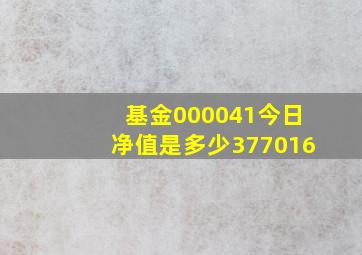 基金000041今日净值是多少377016