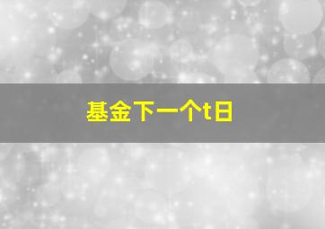 基金下一个t日